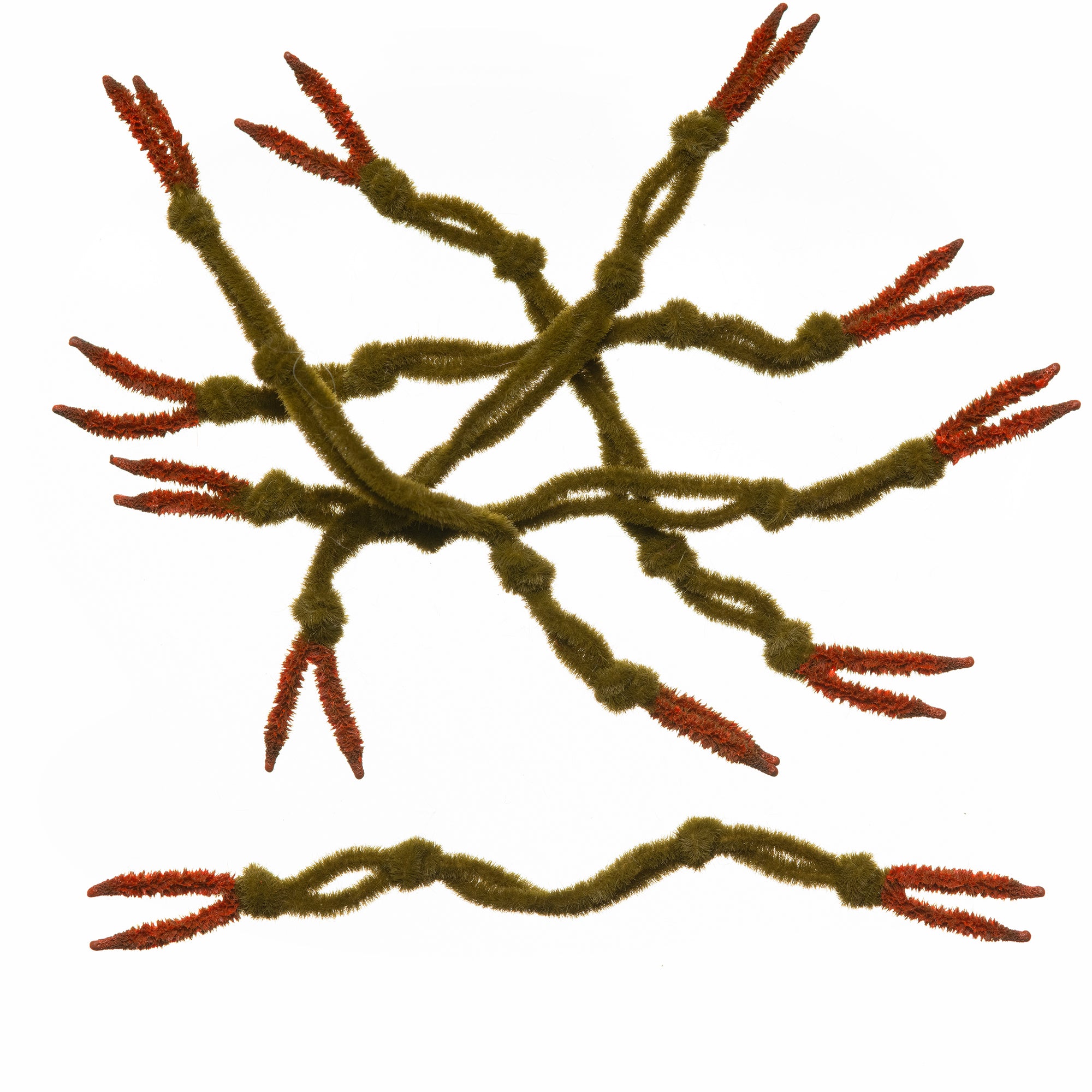 EP® Crab Claw