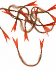 EP® Crustaceous Claw - Brown