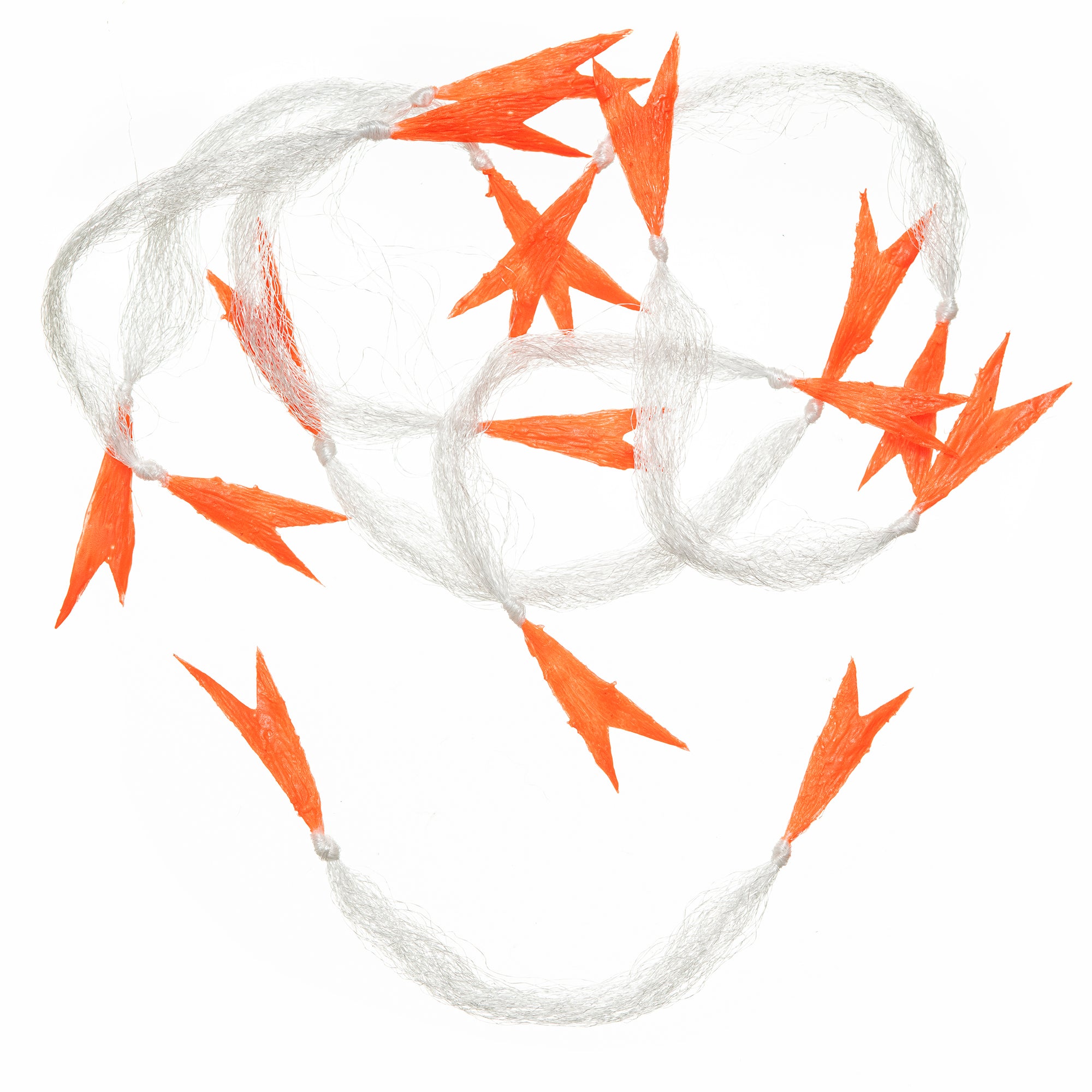 EP® Crustaceous Claw - Clear