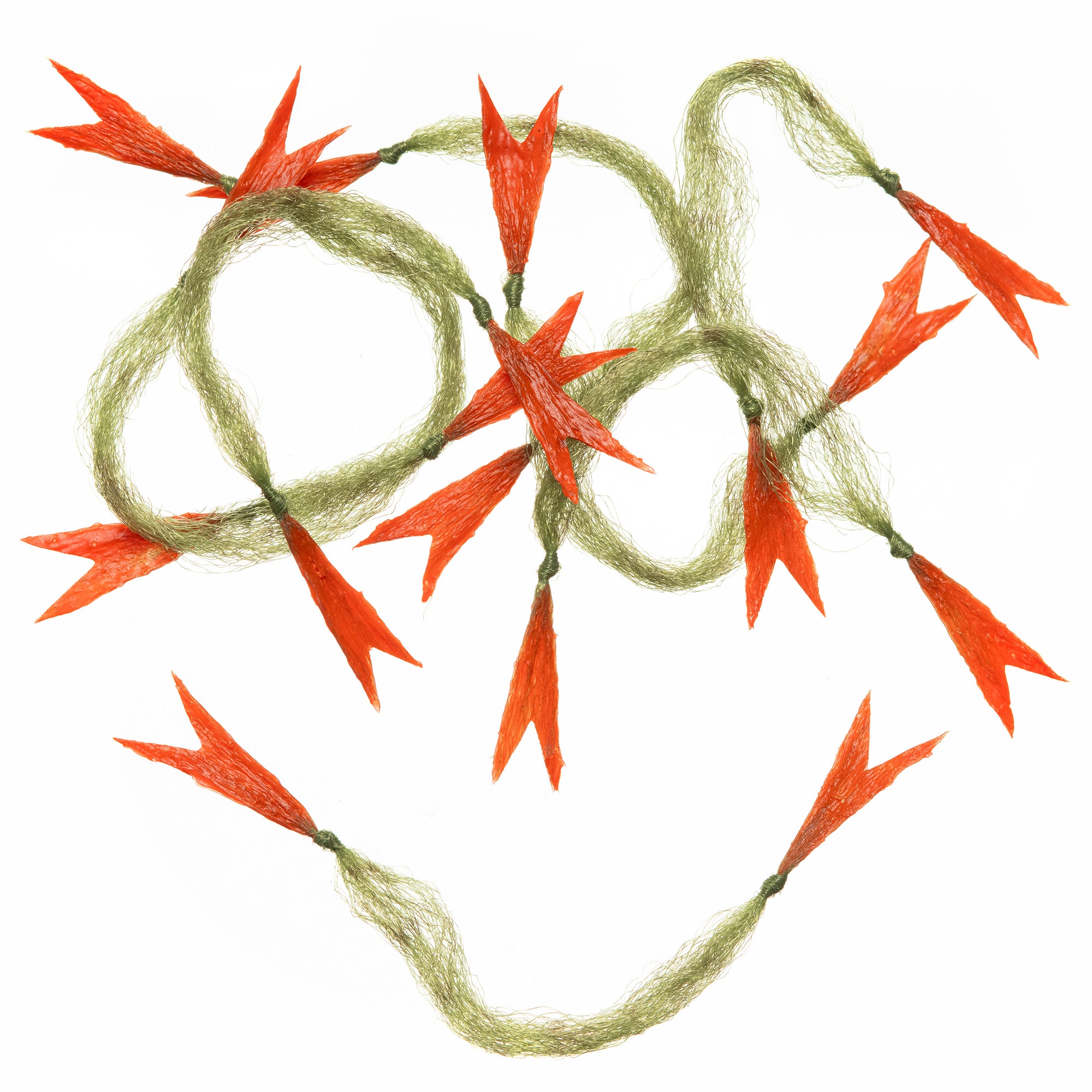 EP® Crustaceous Claw - Olive