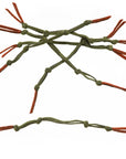 EP® Langostino Claw - Olive