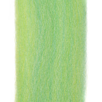 Anchovy