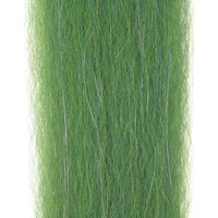 Grass Shrimp