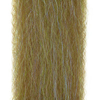 Pacific Sardina
