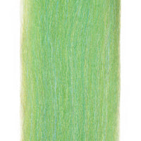 Anchovy