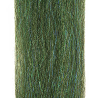 Wild Peacock