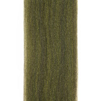 Baetis Tricaudatus