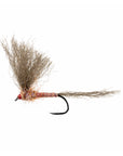 Red Quill