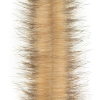 Coyote