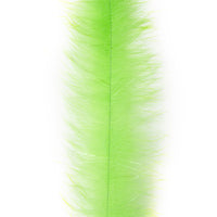 Hot Green Chartreuse
