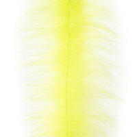 Hot Yellow Chartreuse