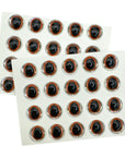 Oval Pupil 3-D Eyes